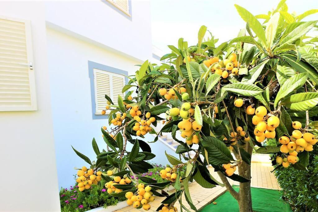 Vila Ventura Marina Albufeira Zewnętrze zdjęcie